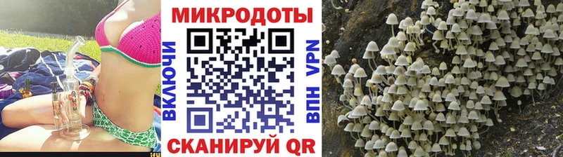 Купить закладки  Лаишево  Галлюциногенные грибы MAGIC MUSHROOMS 